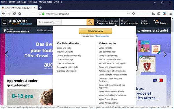 Site web